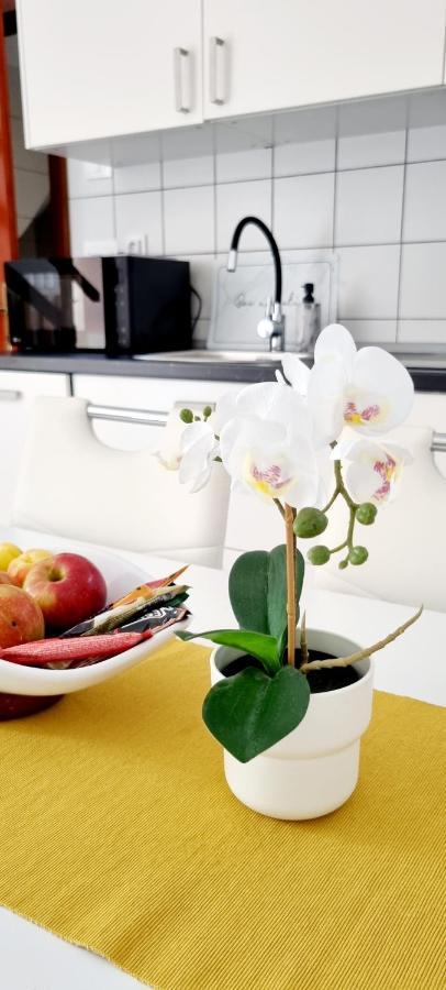 Apartments Severina ロヴィニ エクステリア 写真